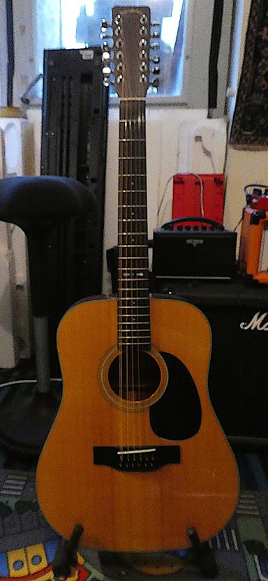 Sigma 12-string
